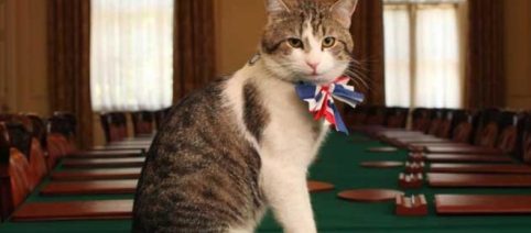David Cameron deja la residencia oficial pero su gato se queda
