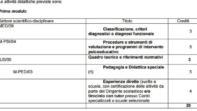 come candidarsi al Master sull'autismo.