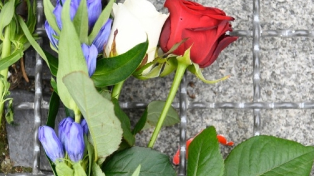 Attentato a Nizza, su Facebook i fan de Il Segreto si lamentano