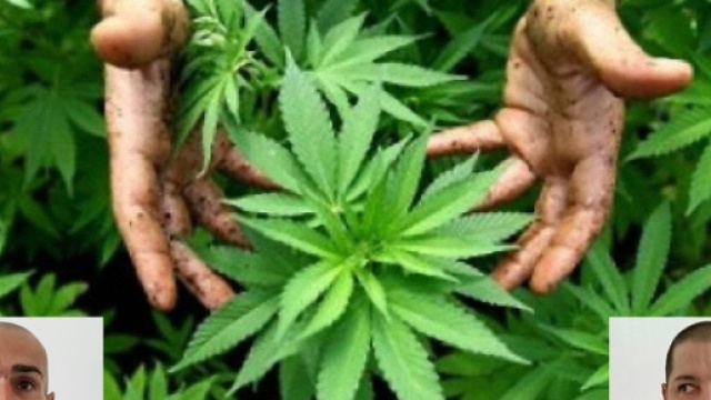 La Polizia ha sequestrato una piantagione casalinga di marijuana. Nella foto in basso a destra Stefano Tidili, a sinistra Gianluca Muntoni.