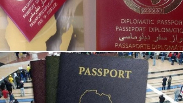 Exemplaires des passeports panafricains. Cr&eacute;dit photo, Ma&euml;lle Soumbi