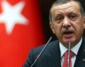 Clampdown on democracy: Erdoğan continues purges in wake of attempted coup