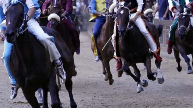 Palio di Siena, morire nel nome di una tradizione.