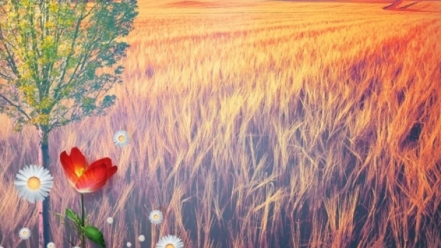 Zeppe delle mie brame, chi &egrave; la pi&ugrave; eco del reame?