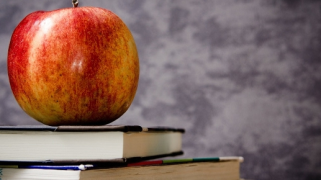 Concorso scuola 2016, ultime novit&agrave; ad oggi 20 luglio 2016