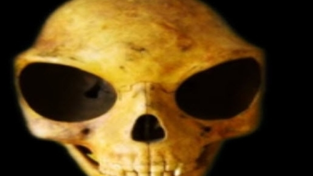 Il teschio ritrovato in Danimarca