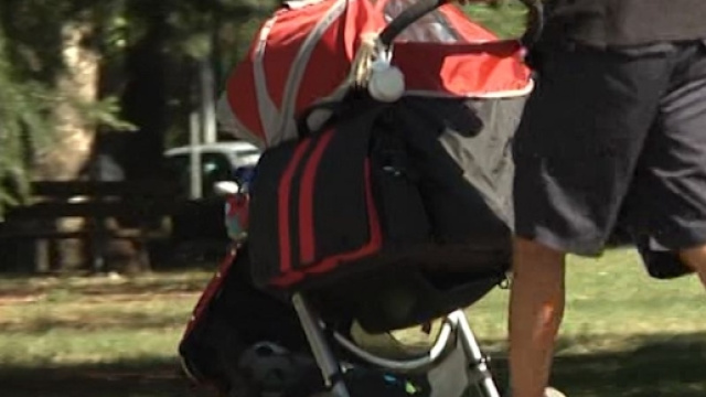 Cronaca Qui News cecina - quinewscecina.it