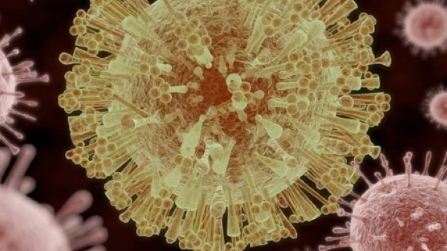 Paura anche in Italia per il virus Zika. Ecco perch&eacute; spaventa