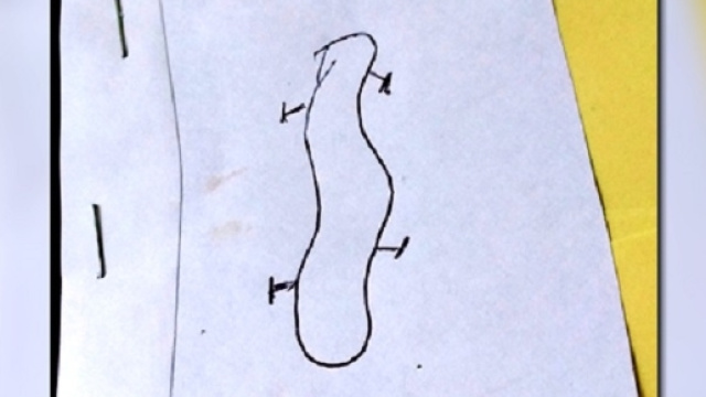 testimone in Tennessee vede UFO che sembrava un 'essere vivente'