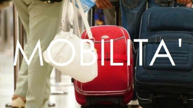 Mobilit&agrave; scuola primaria 2016 ultime notizie