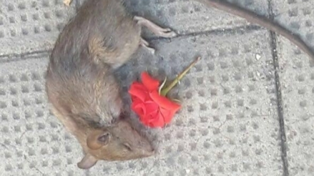 Foto scattata a Grottaminarda dal giornalista Erminio Merola