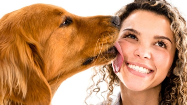 Un cane manifesta il proprio affetto