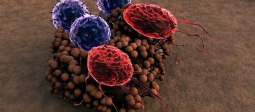 Video Highlights Twins Study Microbiome Investigation | NASA - nasa.gov