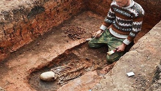 Archeologo osserva il teschi allungato ritrovato nel sito di Arkaim in Russia. CEN