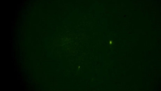 investigatori del paranormale stanno guardando filmati di UFO ripresi con telecamere per la visione notturna sulla Russia.