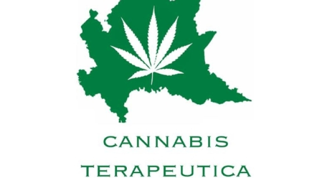 Movimento 5 stelle: in Lombardia il s&igrave; all'utilizzo di cannabis a scopo terapeutico