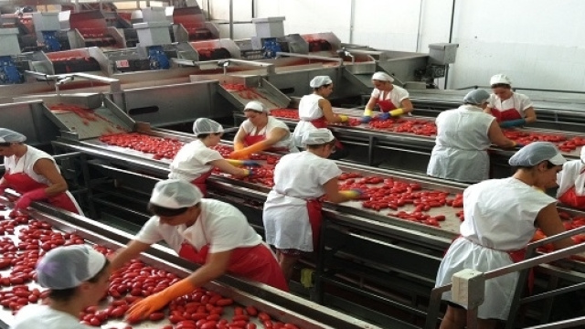 Princes, 1300 assunzioni a Foggia ad Agosto