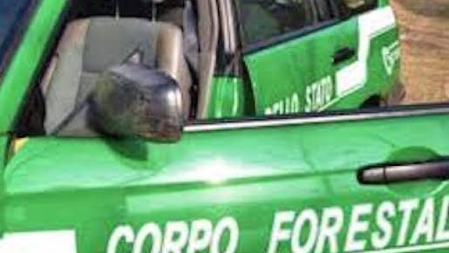 Corpo forestale dello Stato confluisce nei Carabinieri