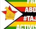 Zimbabwe #ThisFlag supporters report that two activists for change have been abducted