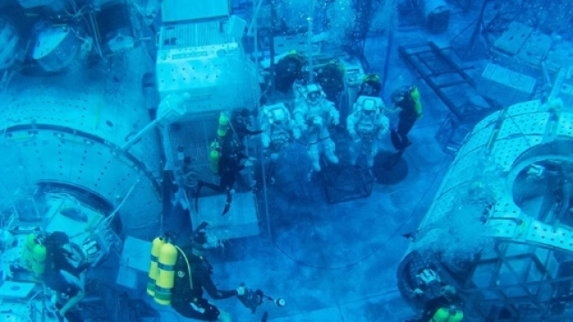 Gli 'acquanauti' immersi nel laboratorio 'Aquariaus' - meteoweb.eu