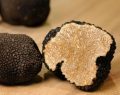 Trufas: el diamante negro de la gastronomía