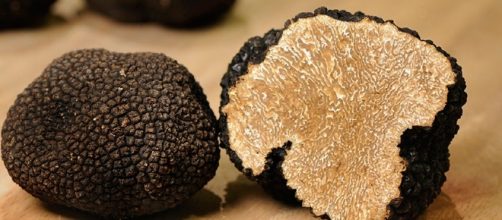 La trufa es un alimento que posee una gran variedad de propiedades.