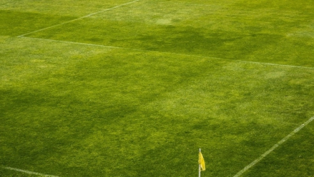 Fiorentina: al via la stagione 2016/17