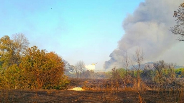 Foto scattata da Paolo Interlando