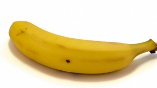 Le banane, entro dieci anni, rischiano l'estinzione a causa di un fungo patogeno