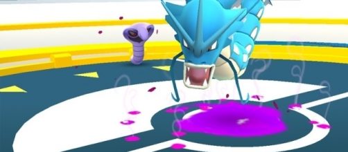 Lucha en gimnasios de Pokemon go y gana! - territoriopokemon.com