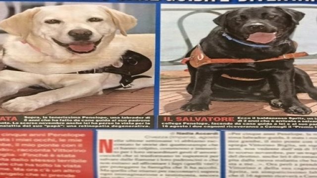 Penelope e Spritz: i due cani eroi