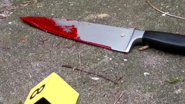 Ticino: appicca fuoco e ferisce passeggeri - bresciatoday.it