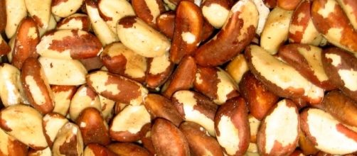 Castanha-do-par&aacute; &eacute; uma das fontes naturais de magn&eacute;sio