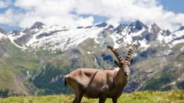 L'Italia in verde - Natura e paesaggio - Idee di viaggio - italia.it