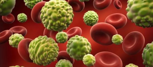 7 mitos sobre el c&aacute;ncer | TN.com.ar - com.ar