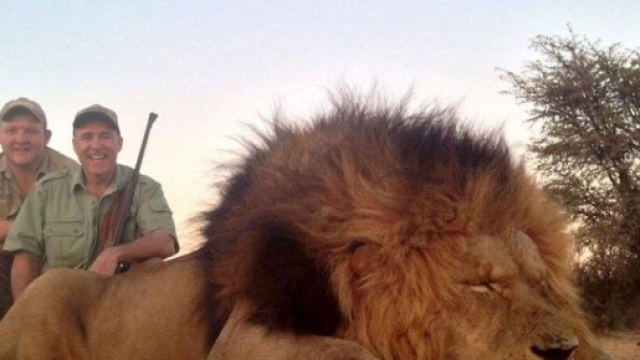 Ragazza dodicenne uccide animali per hobby ma viene minacciata di morte