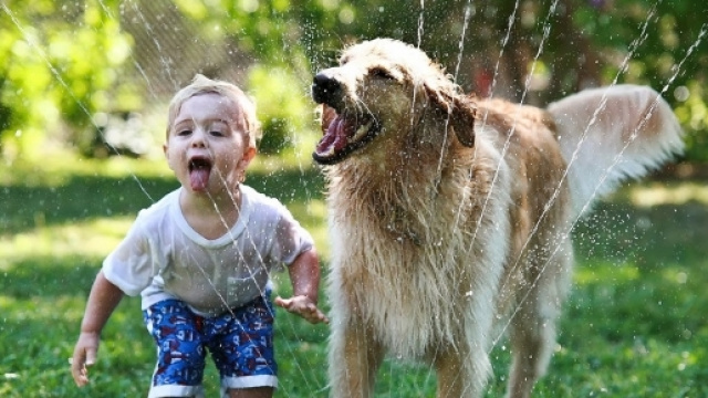 Il mondo dalla sua prospettiva - blogspot.com