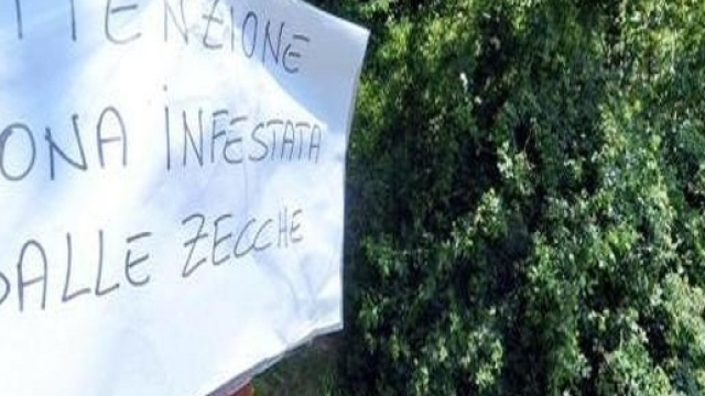 Un cartello che mette in guardia sulla massiccia presenza di zecche - Foto da Il Gazzettino