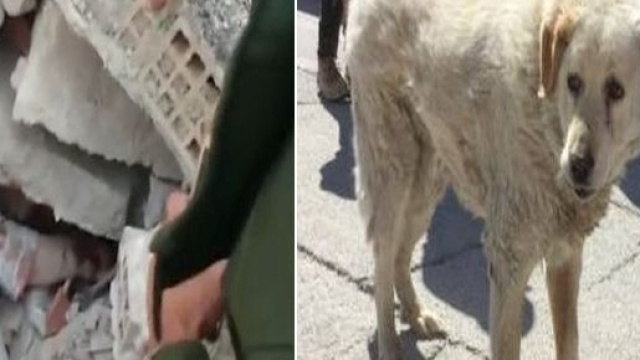 storie da un terremoto, Bravo e la vecchia signora