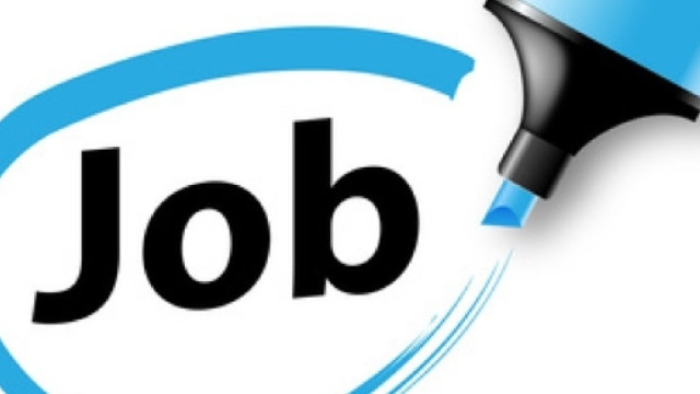 Offerte lavoro laureati Giurisprudenza: news.