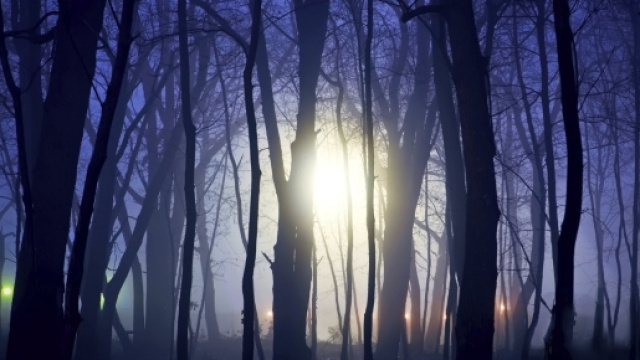 L'UFO della foresta di Rendlesham - Phobos Project - blogspot.com