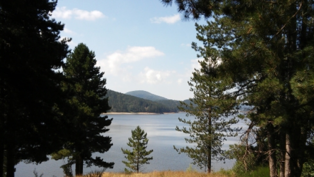 Uno scorcio del lago Arvo tra gli alberi
