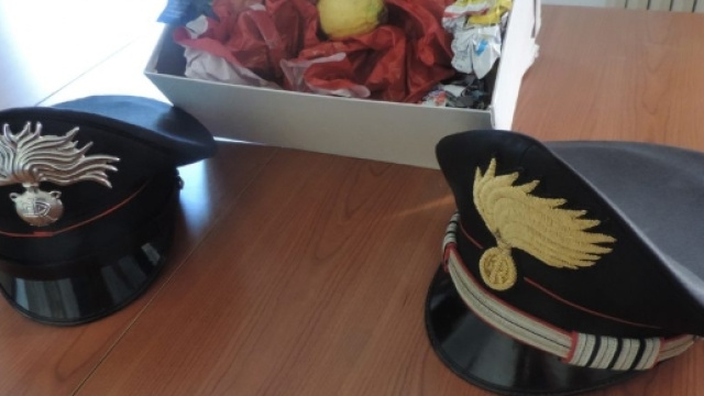 Ragazza truffata: ordina uno smartphone e riceve un limone