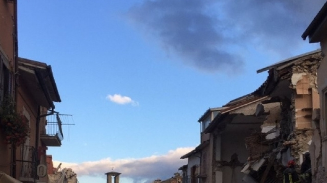 Terremoto nel Centro Italia: emergenza animali