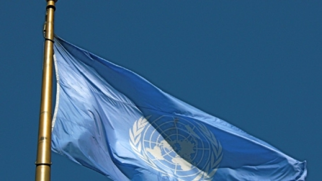 Bandiera blu delle Nazioni Unite