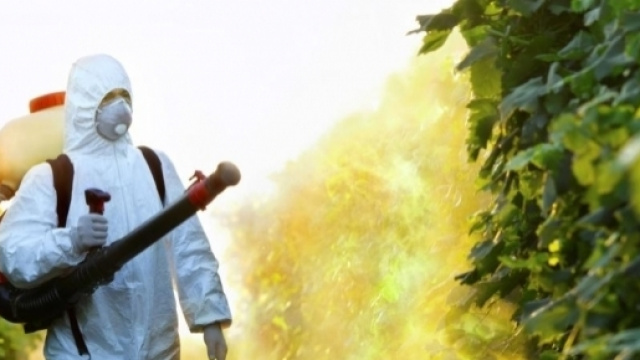 Stop al glifosato: l'Italia vieta l'uso dell'erbicida.