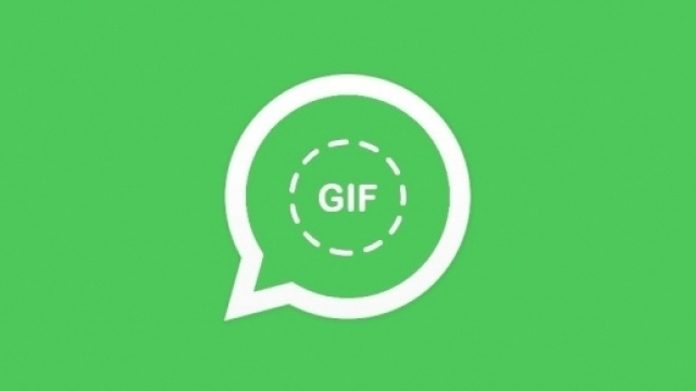 WhatsApp: in arrivo il supporto alle GIF