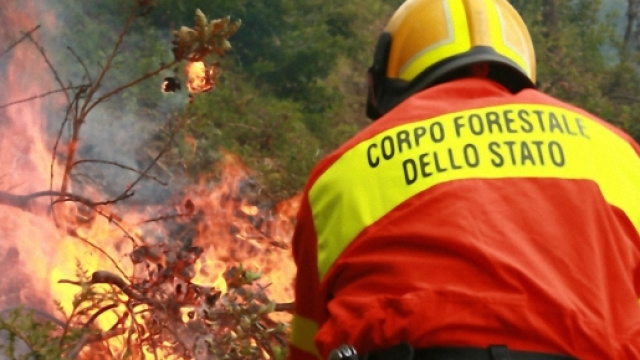 Il forestale ustionato non dovrebbe essere in pericolo di vita.