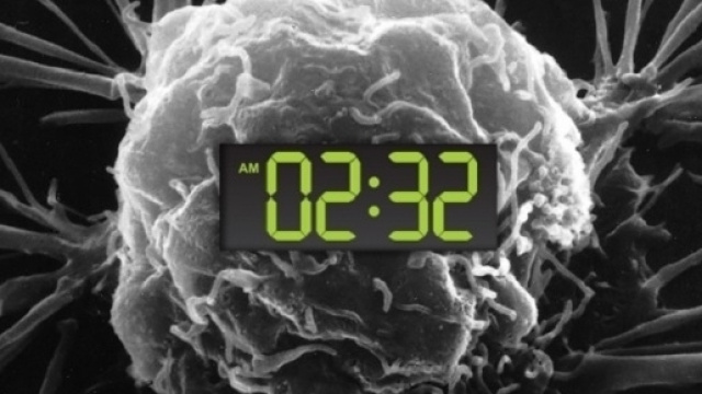 Lavorare di notte pu&ograve; esporre ad un maggiore rischio di sviluppare un tumore - Credits: National Cancer Institute, Christine Daniloff/MIT