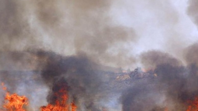 Incendi boschivi: La Forestale denuncia una persona nel Cilento - cilentonotizie.it